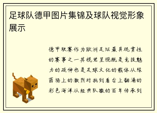 足球队德甲图片集锦及球队视觉形象展示