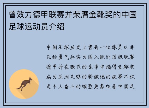 曾效力德甲联赛并荣膺金靴奖的中国足球运动员介绍